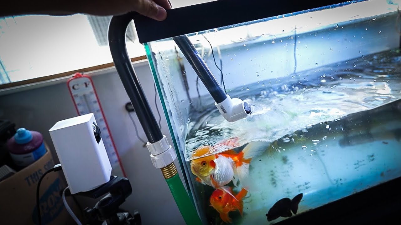 My attempt at making a DIY Python water change hook! - YouTube