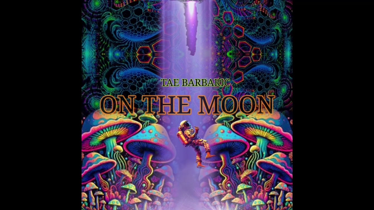 Tae BarBaric - On the moon