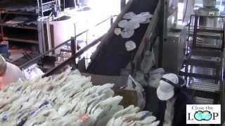Waste Not Technologies Milk Jug Grinding Process to make Recycled Plastic Fencing