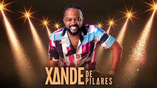 Download Lagu Xande de pilares Completo - Só As Melhores Xande de pilares - Pagode do Xande de pilares Pagode 2022 MP3