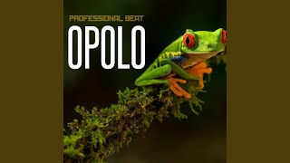 Opolo