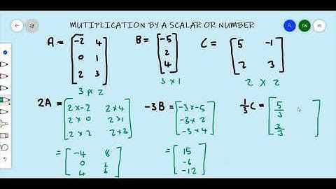 Multiplying a Given Matrix by a Scalar Quantity - Timoy White