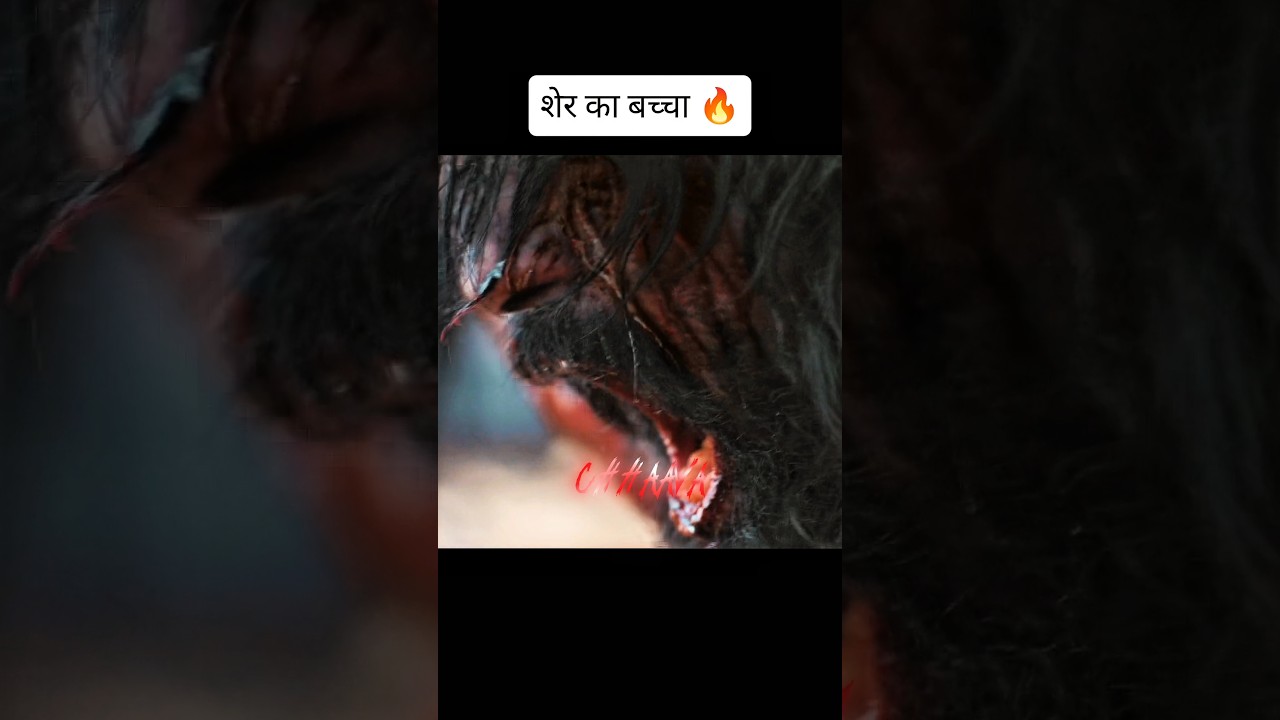 aurangjeb offer rejected #chhaava #viral #video #movie #shortsfeed #shortvideo #edit #youtubeshorts