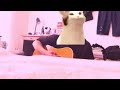 薔薇を飾るなら/眞名子 新[cover]