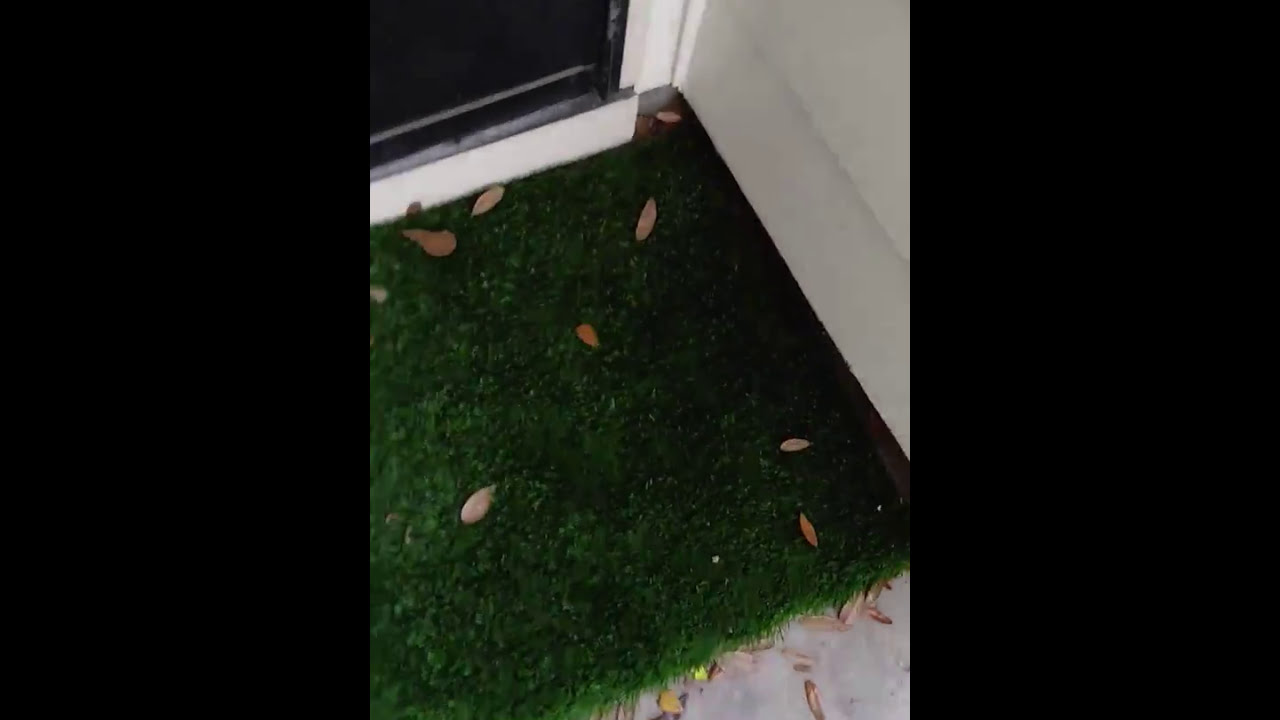 Artificial Grass Doormat (24X18 Inches) Review 