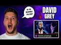 Musician REACTS To SAIL AWAY By DAVID GRAY!