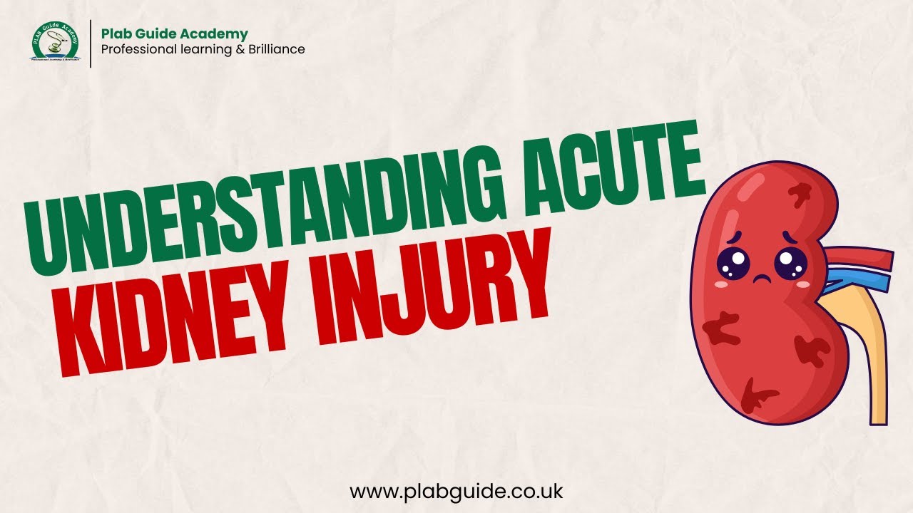 Understanding Acute Kidney Injury: A Comprehensive Guide 2024 | PLAB GUIDE ACADEMY