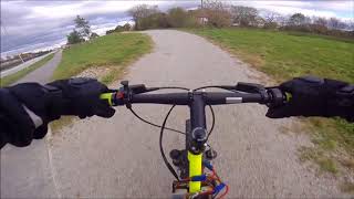 Fast Electric Crussis Cross Kickbike TC100 20" 18s