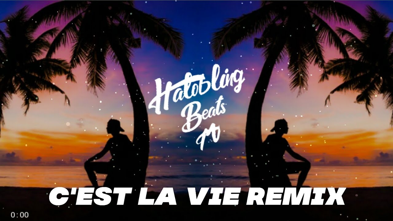 TY1 ft. Capo Plaza x Dosseh - C'est La Vie (Smoothies Moombahton Remix)