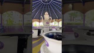 Are You A Fan Of The Clic Tea Cup Rides?