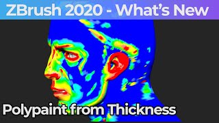 036 Zbrush 2020 Polypaint From Thickness