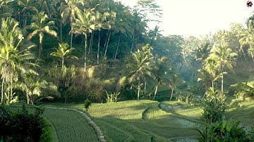 الشيخ عكاشة كميني ماتيسر من سورة غافر