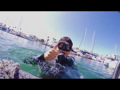 Redondo Beach, California: 3 Ocean Adventures in King Harbor