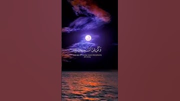تلاوه تريح القلب بصوت الشيخ ماهر المعيقلي #قران_كريم #قرآن #ماهر_المعيقلي #شورتس
