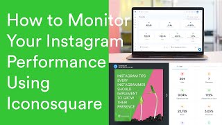How to Monitor Your Instagram Performance Using Iconosquare screenshot 2