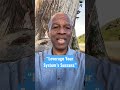 “Leverage Your System’s Success” - stephenVrichardson #Leverage