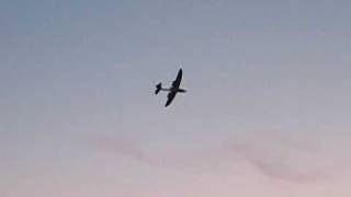 rc wildhawk modified