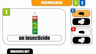 [HD] French vocabulary # Un insecticide