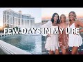 FEW DAYS IN MY LIFE (SPECIAL GUESTS, LAS VEGAS STRIP, APARTMENT SHOPPING, ETC)
