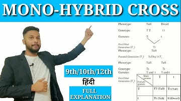 Mono-Hybrid Cross | Mendel