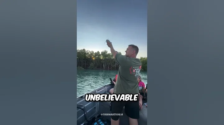 He Feeds an Eagle Mid Air!😲(@treknaustralia)