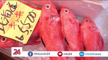 Chợ cá cổ nhất Nhật Bản bị di dời | VTV24