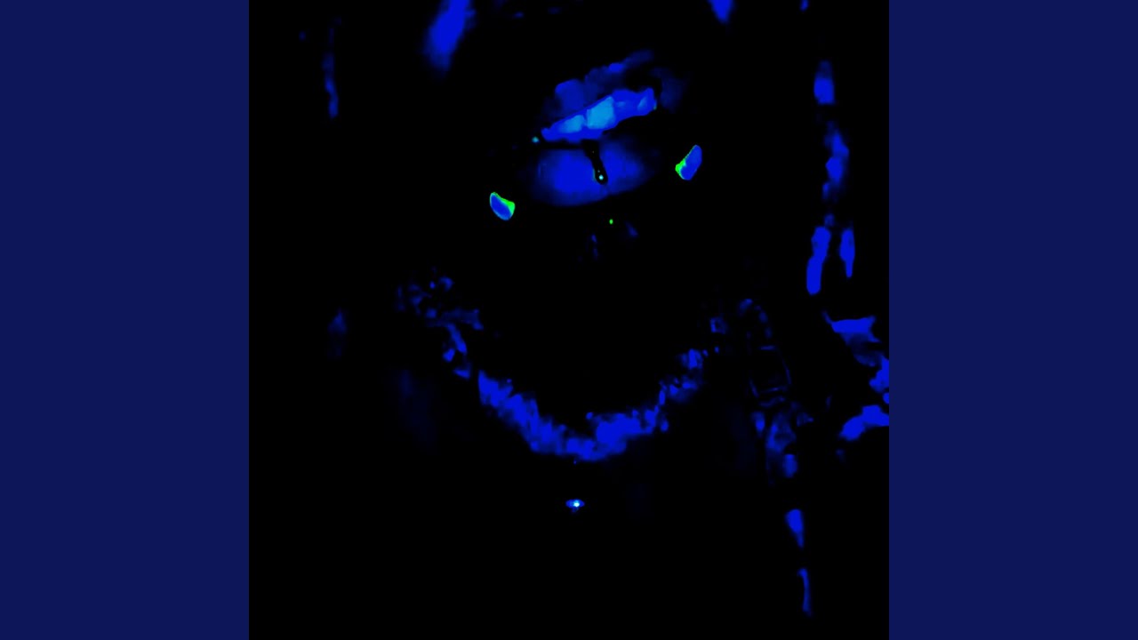在 YouTube 上观看 spoop 在 YouTube 上观看 spoop
