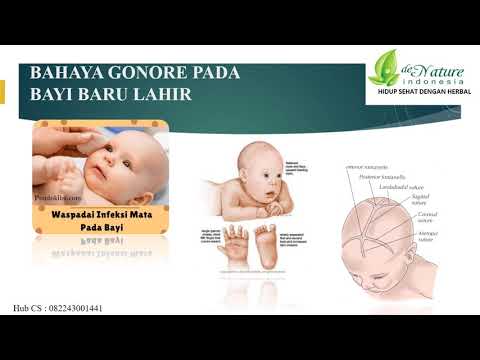 apa-bahaya-penyakit-gonore-terhadap-ibu-hamil-?-:-ampuh!!-herbal-mengatasi-gonore-pada-ibu-hamil.