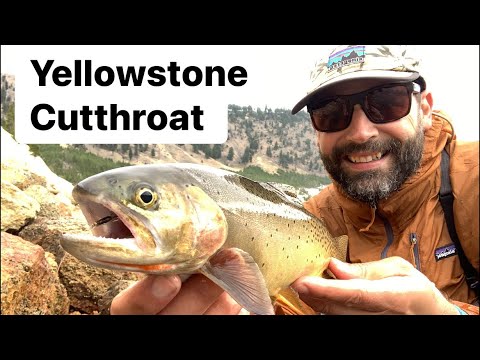 Hiking the Specimen Ridge Trail & Fly Fishing the Yellowstone River / The Angler’s Path