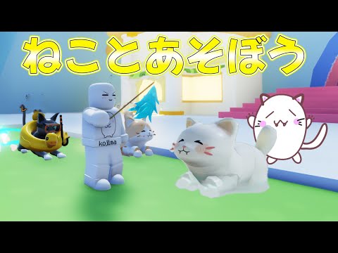 ねこ@プロフ必読★ hqdefault.jpg
