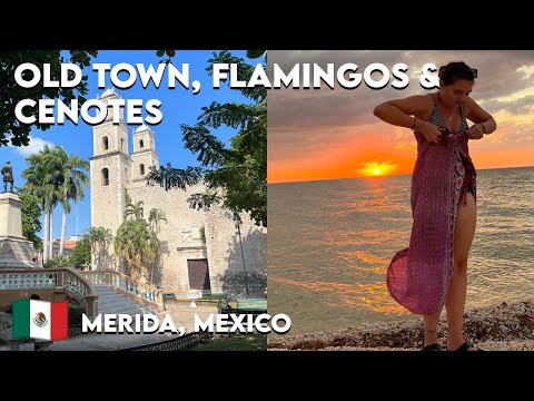 Merida Cenotes, Celestun & Exploring the old town 🦩 Mexico Travel Vlog 🇲🇽