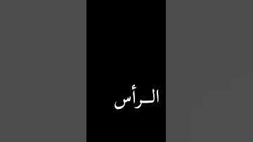 عشاق شاشة سودء داني تعمار راس 