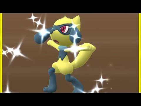 ポケモンgo 色違いリオルが生まれる瞬間 Shiny Riolu Youtube