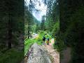 Sajla waterfall | Manali | Best Picnic spot | Himachal Pradesh