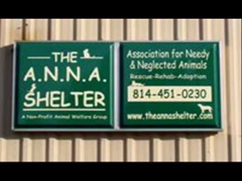 the a n n a shelter erie pa youtube trans siberian orchestra christmas youtube