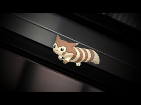 Furret on an Escalator until Diamond & Pearl remakes are released