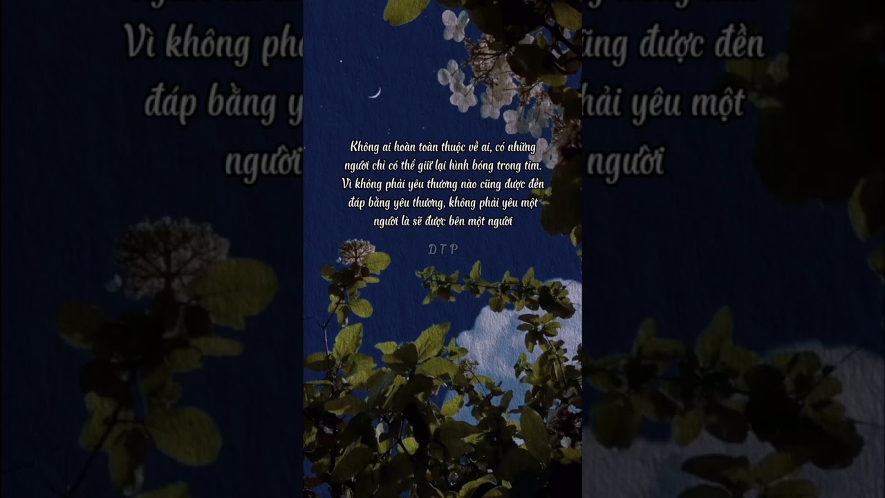 5gbet cpm Có những người chỉ có thể giữ lại hình bóng trong tim dtp shorts caunoihay sad sadstatus story