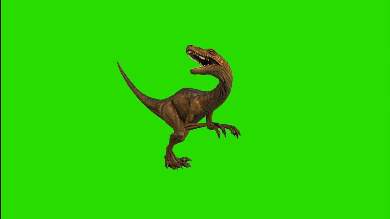 Velociraptor green screen effect 2020 || free to use in chroma key ...