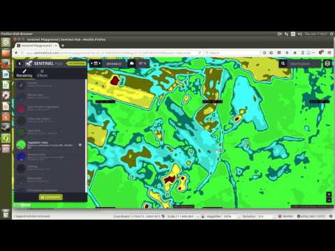 Satelliittikuvat 1. Sentinel playground ja peltolohkon ongelmat