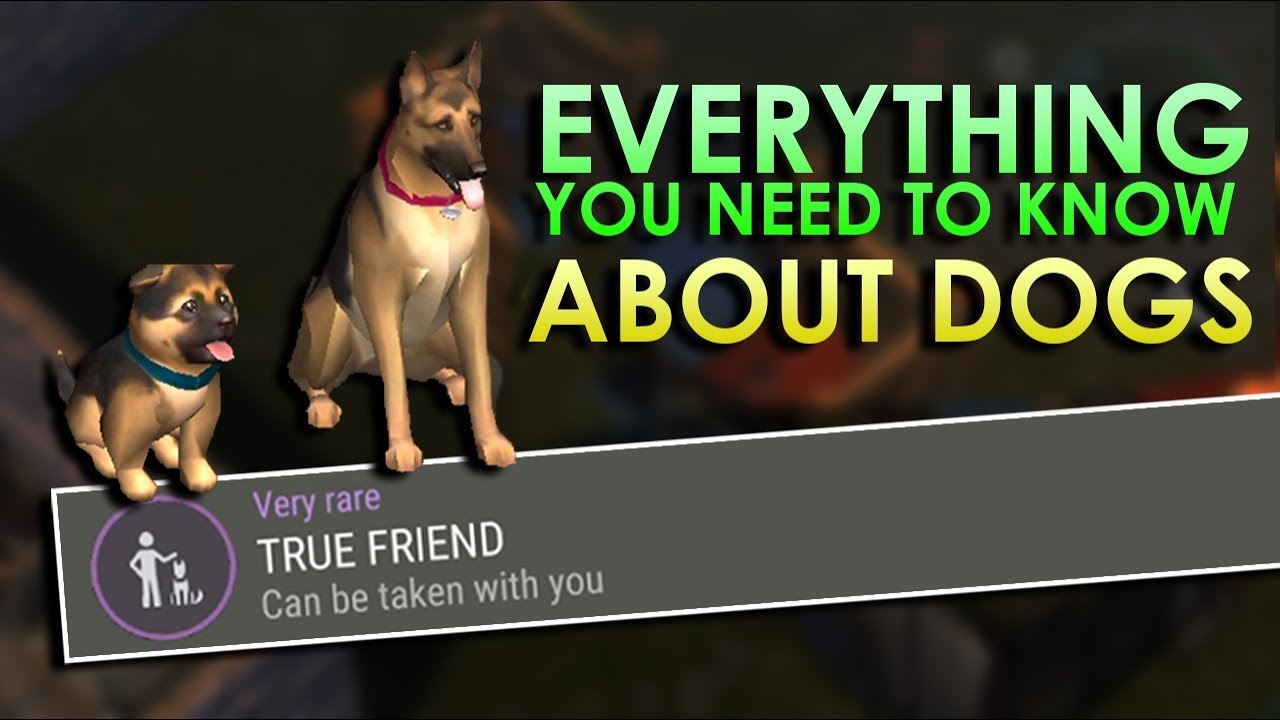 ⁣Dogs Explained (How to get True Friends Trait & More) - Last day on Earth: Survival 1.7.12