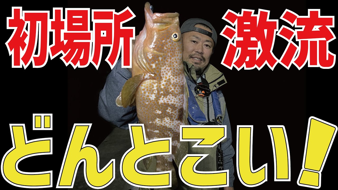 しまなみ初場所 激流アコウ攻略 Youtube しまなみ初場所 激流アコウ攻略 Youtube