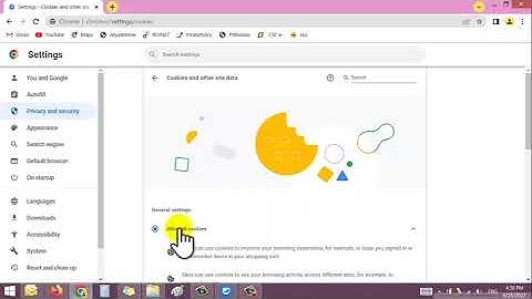 Google chome eMitra NSDL PAN CARD setting