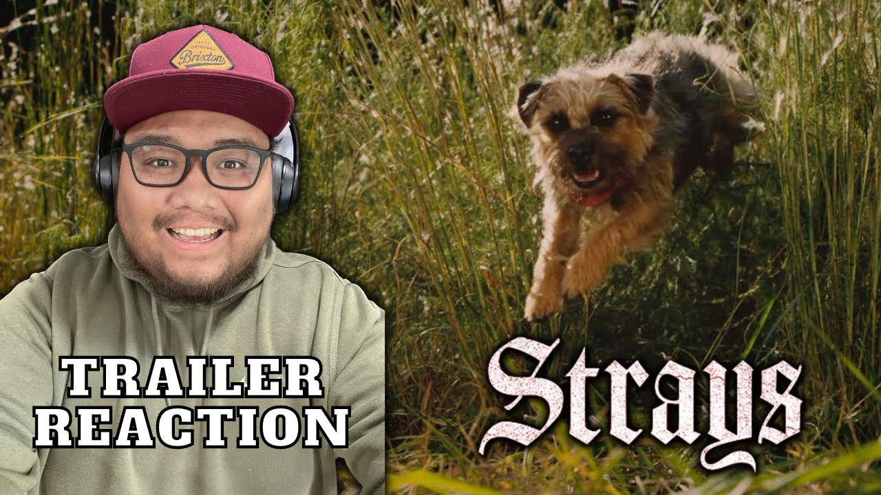 Strays Official Trailer REACTION!!