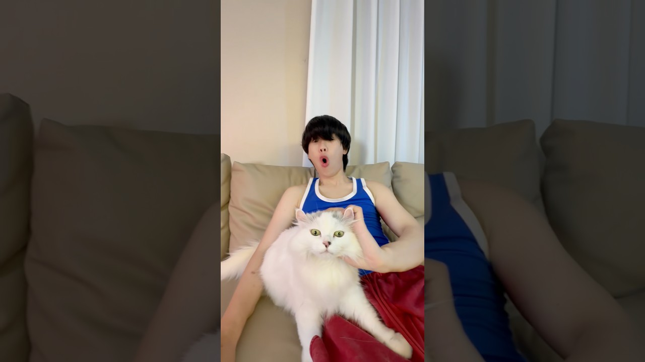 Everyone, meet Lil Pink!🐱💗#funny #couple #humor #cat