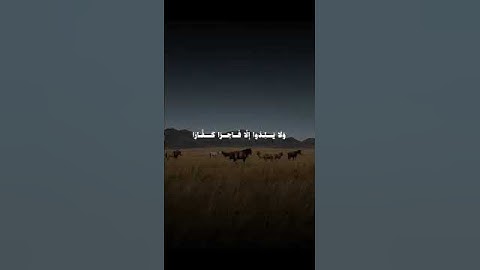 [سورة نوح: ايه 26 الى 28]