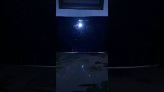 Flashlight 🔦 Orchesta: Fireflies by Owl City
