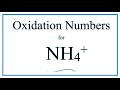 Ammonium Ion and Oxidation Numbers