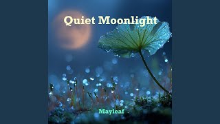 Quiet Moonlight