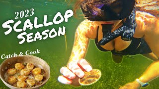 Scalloping In Pasco County, FL  - Catch & Cook On The Gheenoe by SALTxTHExWOUND 1,266 views 9 months ago 11 minutes, 15 seconds