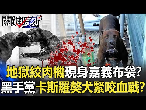 「地獄絞肉機」現身嘉義布袋！？黑手黨「卡斯羅獒犬」緊咬血戰絕不鬆口！？【關鍵時刻】20210715-6 劉寶傑 王瑞德